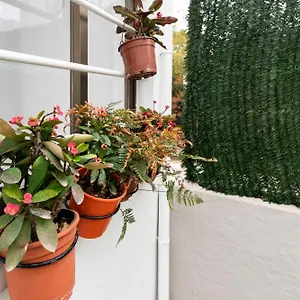 Little House In Center Appartement